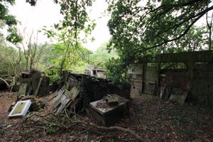 Photo 15- click for photo gallery